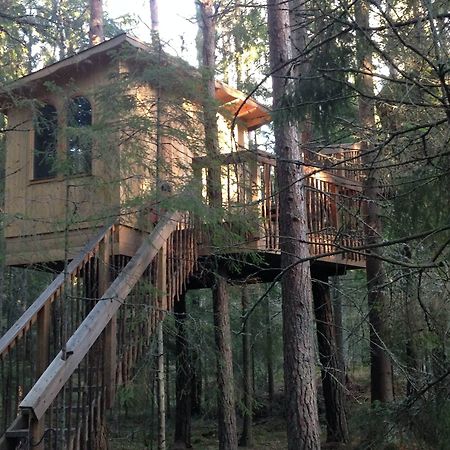 Urnatur Eco Treehouse Lodge Ödeshög Esterno foto