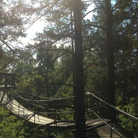 Urnatur Eco Treehouse Lodge Ödeshög Esterno foto